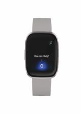 FITBIT VERSA 2 Stone Mist Grey 